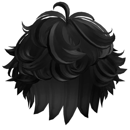 Fluffy Curly Messy Boy Hair (Black)