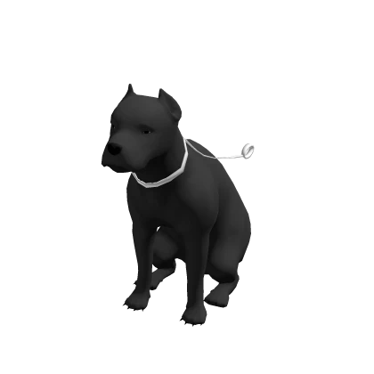 Cane Corso Pet 