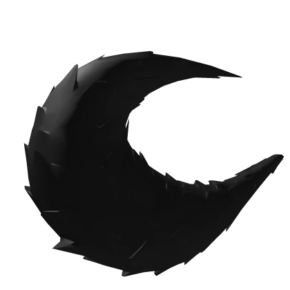 Big Black Fluffy Tail