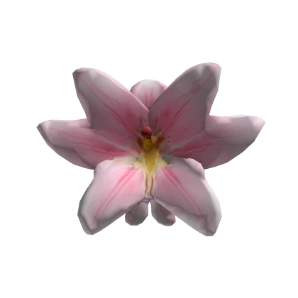 🌸 Flower Pink Lily Spring Valentine's Day