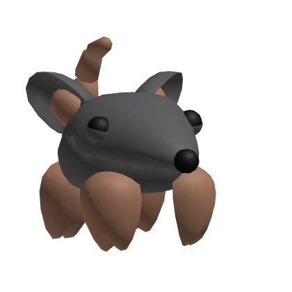 Head Joey Pal