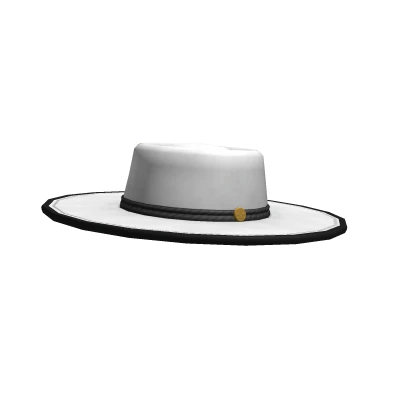 Wide Brim Hat