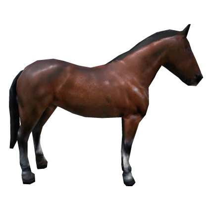 Big Horse 🐎 Cute Animal Walking In Back