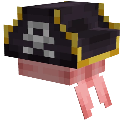 Steven Pirate Hat