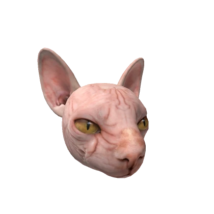 Realistic Sphynx Cat