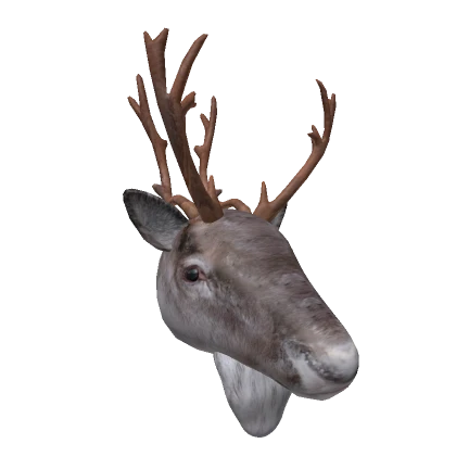 Realistic Reindeer