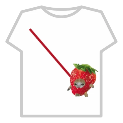strawberry cat 🍓