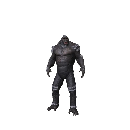 Kong