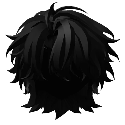 Beautiful Rich Black Wolfcut