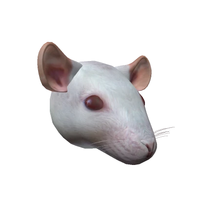 Realistic Rat