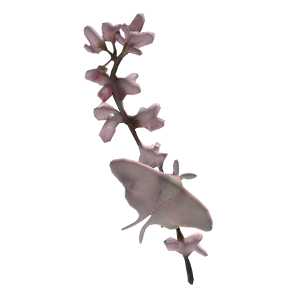 ʚ紫荆 redbud blossom branch & moth on ur hair