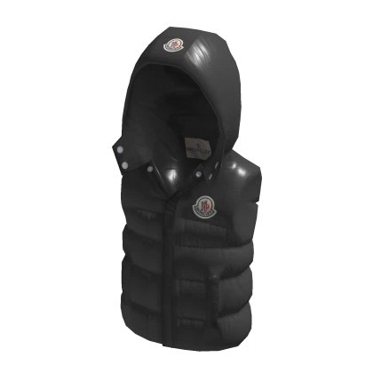 Gray Moncleezy Gilet
