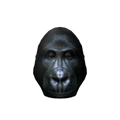 Silverback Gorilla Head