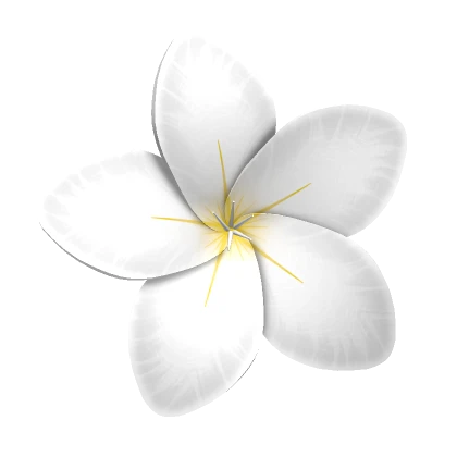 Cute White Hair Flower