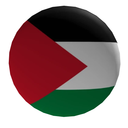 Palestine Pin