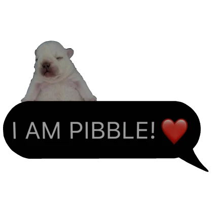 I Am Pibble Text Message (Black Version)