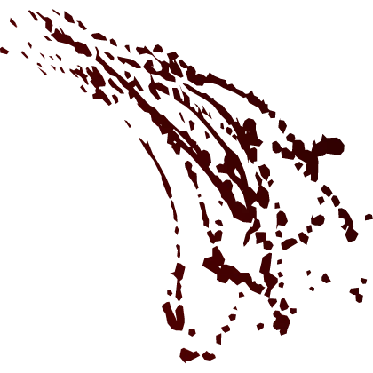 Blood