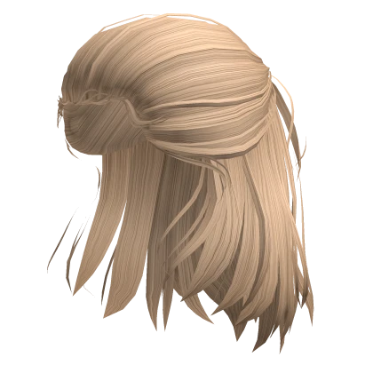 Blonde Half-up Hair of the Rogue Prince