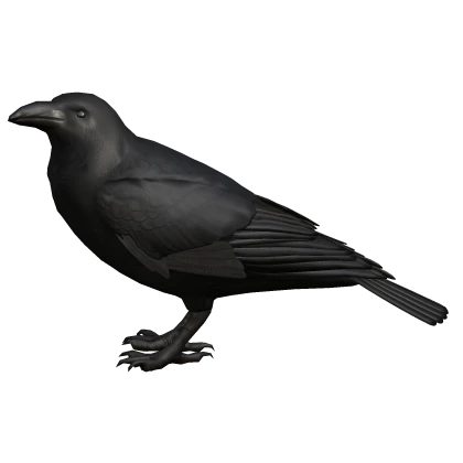 Raven