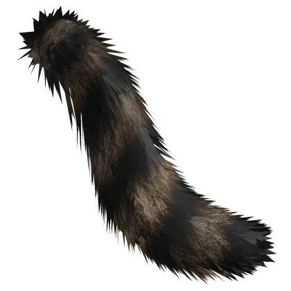 Raccoon Tail