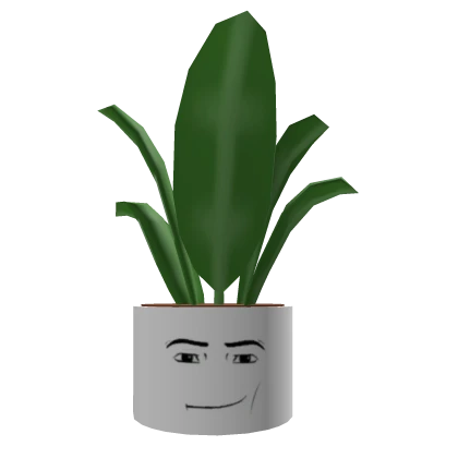 Man Plant