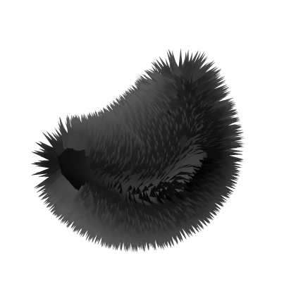 black short bunny rabbit fluffy tail