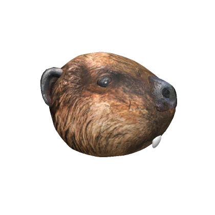 Beaver Head