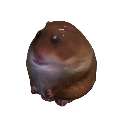 FIXED BIG Staring Hamster Suit