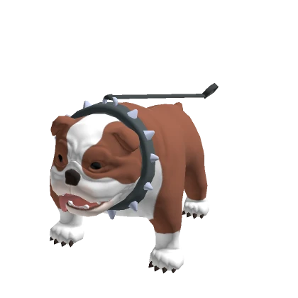 Butcher the English Bulldog