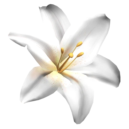 Summer Tropical Lily Flower Hair clip in White