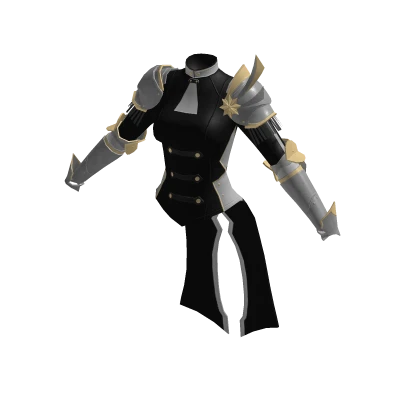 ♾️ Black Cha Hae solo levelling royal armor