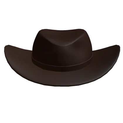 ✅ Cowboy Hat