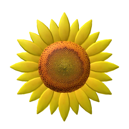 You are a Sunflower