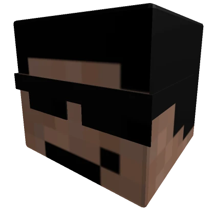 Blocky Server Admin Head