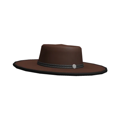 Wide Brim Hat Brown