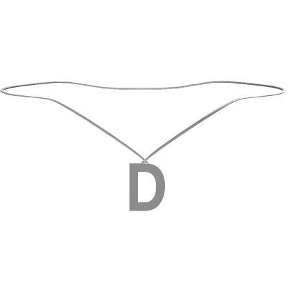 1.0 Initial Necklace - D