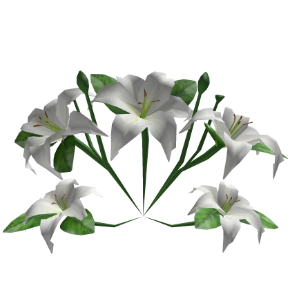 White Lily Flowers Garden
