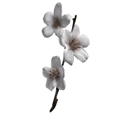 Cute White Sakura Branch in Hair