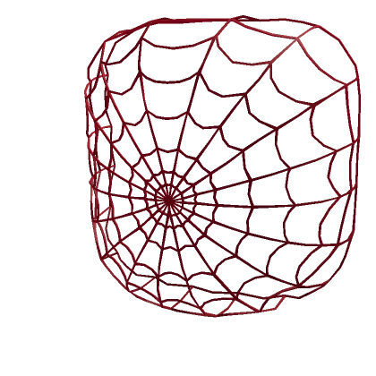 Tight Red Web Veil