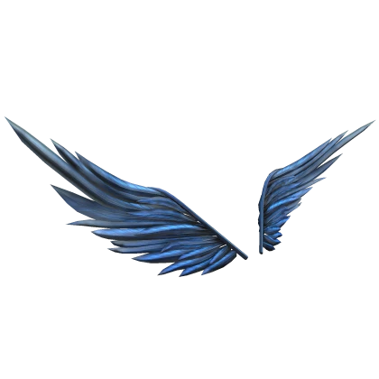 Blue Jay Wings
