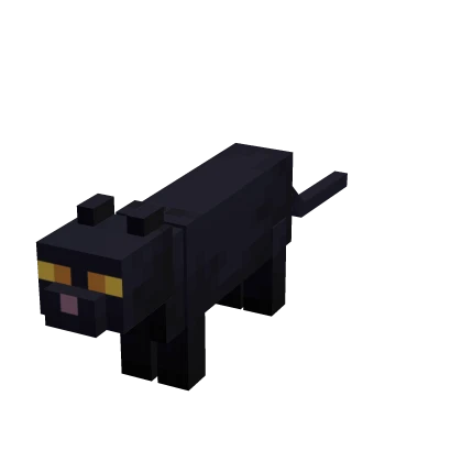 Mini Cat