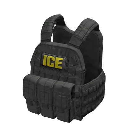 Vest ICE