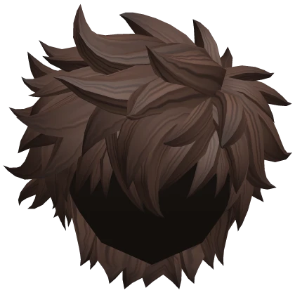 Brown Messy Wavy Boy Hair