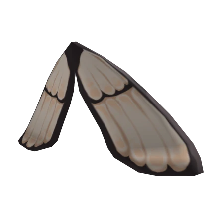 Hawk Moth Wings