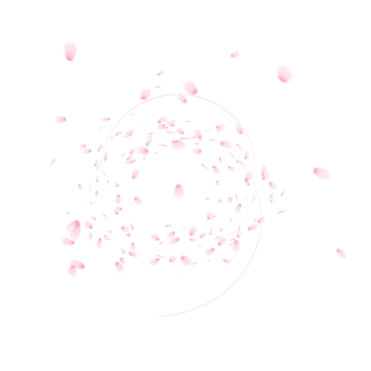 🌸 Sakura Blossom
