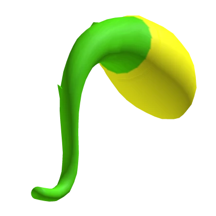 Gnarpy Tail