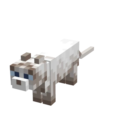 Mini White Cat