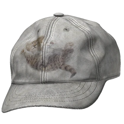 Wrinkly Distressed kitty cat print cap backwards