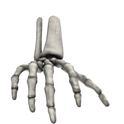 Skeleton Hand