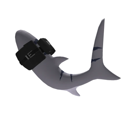 Typical Tiger Shark Tail w Black Bag TLB2